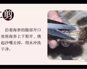 干海參的泡發方法