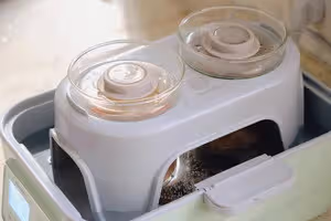 雙燉盅蓮藕+玉米排骨湯【10月北鼎蒸燉鍋食譜】