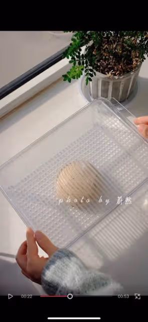 紅茶乳酪棒