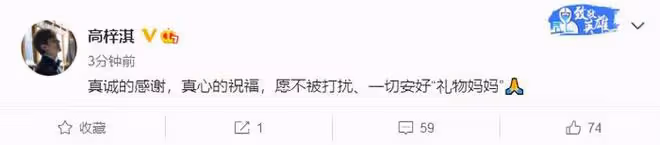 蔡琳為兒子慶生，高梓淇遙送祝福，女方無名指戴戒指疑有新戀情
