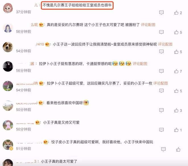 破案了！拉伊卜小王子首次回應身世：是王室成員，但不是國王兒子