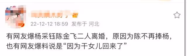 曝楊采鈺陳金飛已離婚，男方不再為其提供資源，劉亦菲無辜躺槍