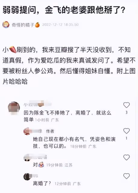 曝楊采鈺陳金飛已離婚，男方不再為其提供資源，劉亦菲無辜躺槍
