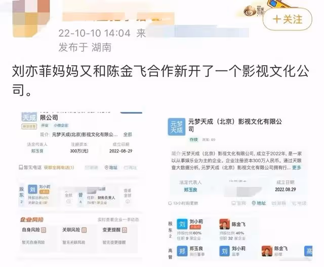 曝楊采鈺陳金飛已離婚，男方不再為其提供資源，劉亦菲無辜躺槍