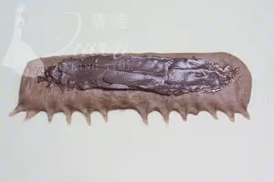 奧利奧雪山巧克力mini吐司