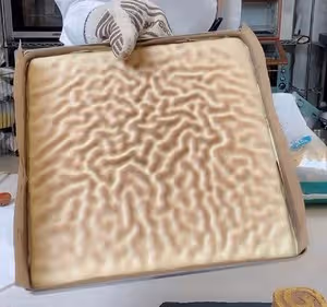 虎皮卷，超詳細