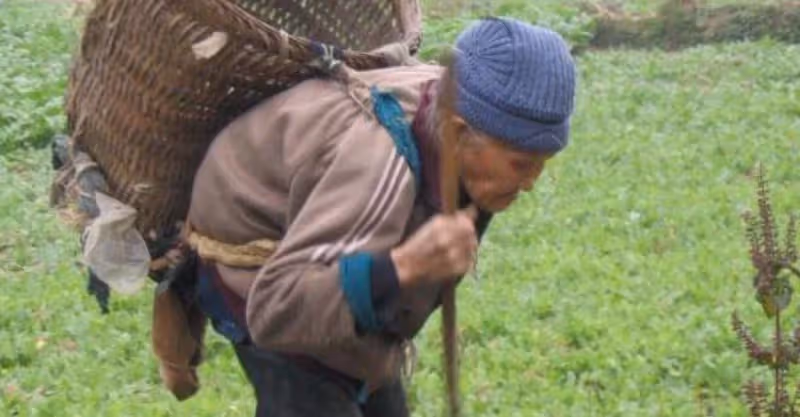 兒媳過生日，農村婆婆只送二斤羊肉，兒媳丟給狗吃，打開袋子愣了