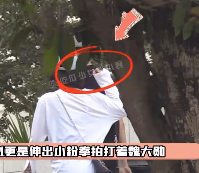 秦嵐魏大勛姐弟戀實錘！兩人挽手游三亞同住酒店，男方心不在焉