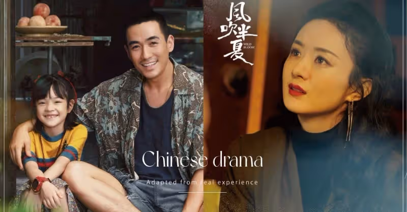 陸劇背後「原型故事」！《風吹半夏》趙麗穎原型竟是作者本人，《人生大事》原型更感人