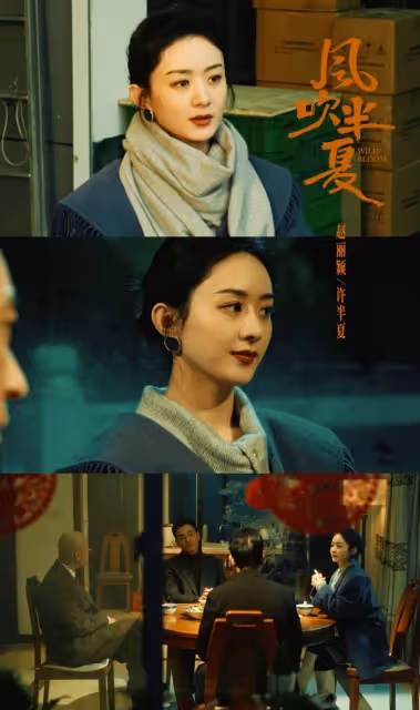 陸劇背後「原型故事」！《風吹半夏》趙麗穎原型竟是作者本人，《人生大事》原型更感人