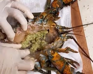 龍蝦處理（詳細視頻）