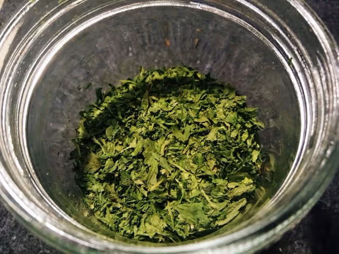 自製干歐芹碎(烤箱/空氣炸鍋)
