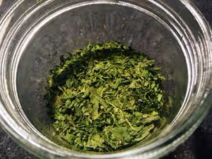 自製干歐芹碎(烤箱/空氣炸鍋)