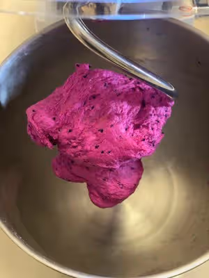 【減脂人早餐必備】無油無糖全麥火龍果貝果自帶甜味有嚼勁對於減肥的人來說真的好吃關鍵純天然麵包