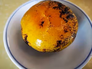 感冒咳嗽，燉橙子or烤橘子？