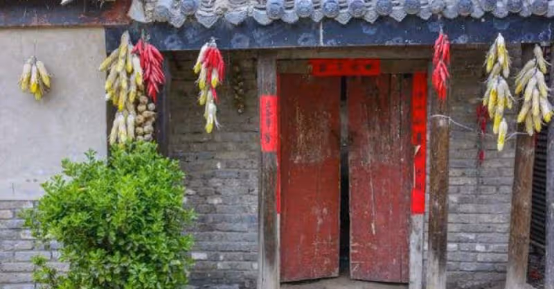 鄉下婆婆想進城過端午，兒媳不同意，親自去送粽子，發現兒媳秘密