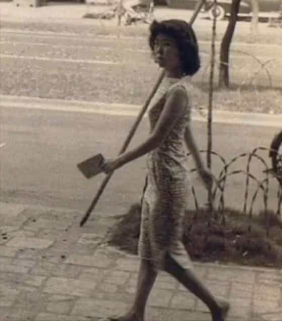 費翔媽媽畢麗娜：親手拆散兒子的姻緣，我離婚影響了他的一生