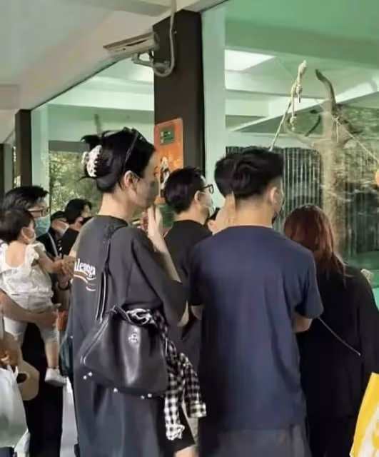 梁安琪帶奚夢瑤視察酒店，涉及348億的項目，想培養她為接班人？