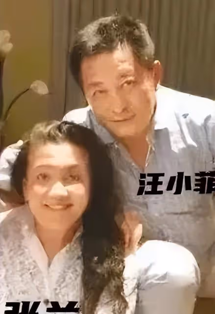 張蘭一輩子的意難平，未婚先孕倒追汪小菲父親，汪璽是何許人？