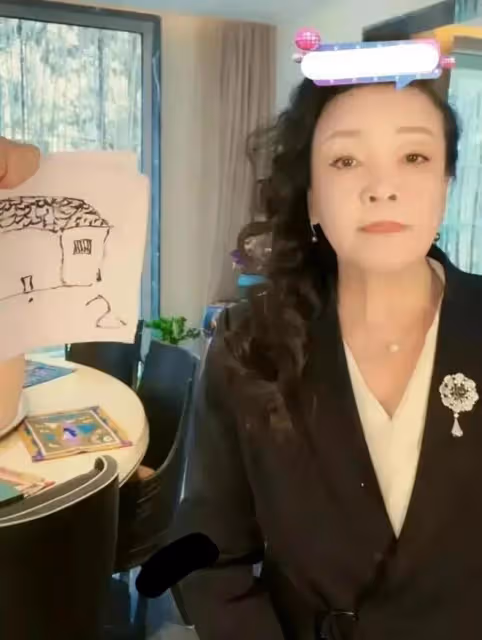 大S起訴台灣省小主播，殺雞儆猴？她在口碑翻車的路上越走越遠