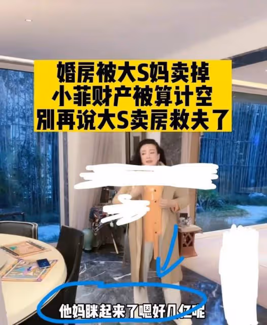 張蘭闢謠大s賣房救夫，汪小菲電費官司即將打響，法律偏向大s？