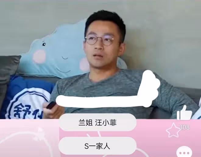 大S親姐徐熙嫻，看似老實卻最精明，替大S兜底，幫汪小菲看孩子