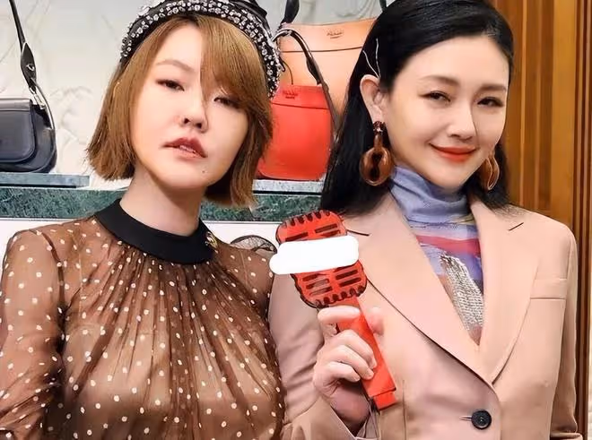 大S親姐徐熙嫻，看似老實卻最精明，替大S兜底，幫汪小菲看孩子