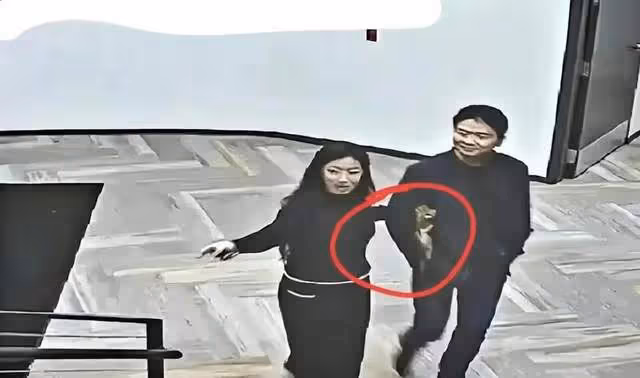 明州案輸家是劉婧堯？眾叛親離，她對得起開發商爸爸和高管舅舅嗎