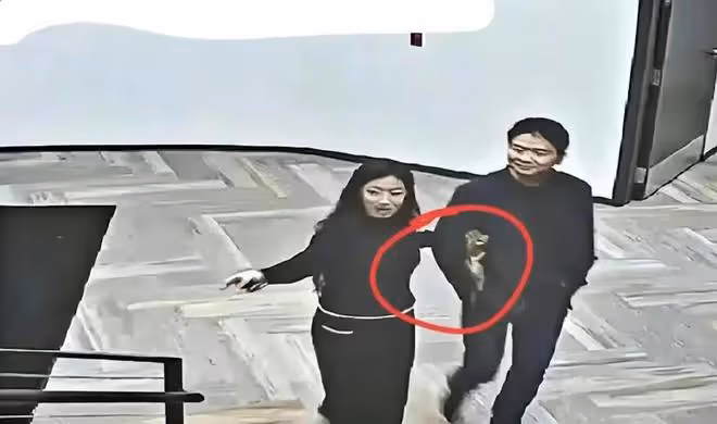 起底劉強東明州案背後女主角劉婧堯：父母身家千萬，如今眾叛親離