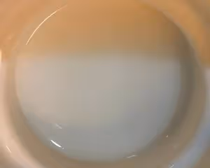 菠蘿咕咾肉