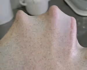 黑麥醇奶吐司