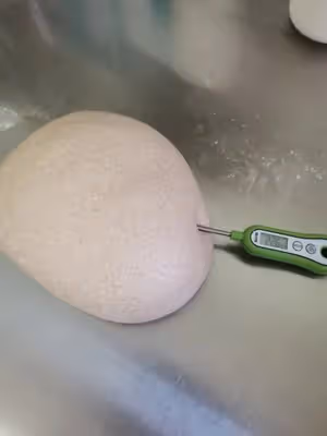 黑麥醇奶吐司