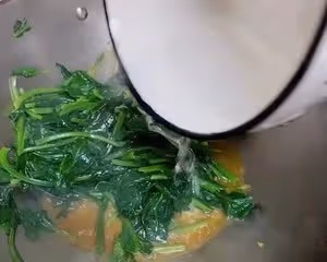 菠菜雞蛋湯