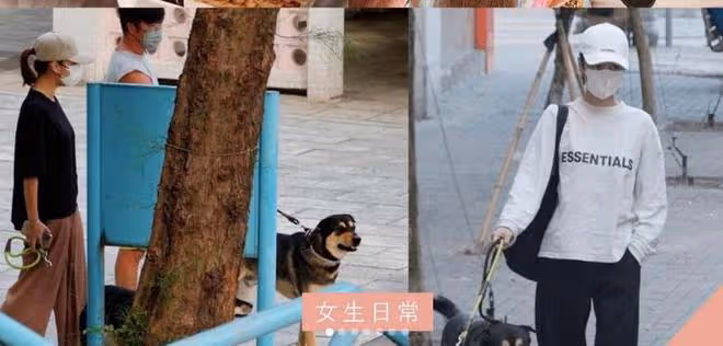 黃心穎生活一落千丈，和社區工作人員聚餐，徹底淪為素人