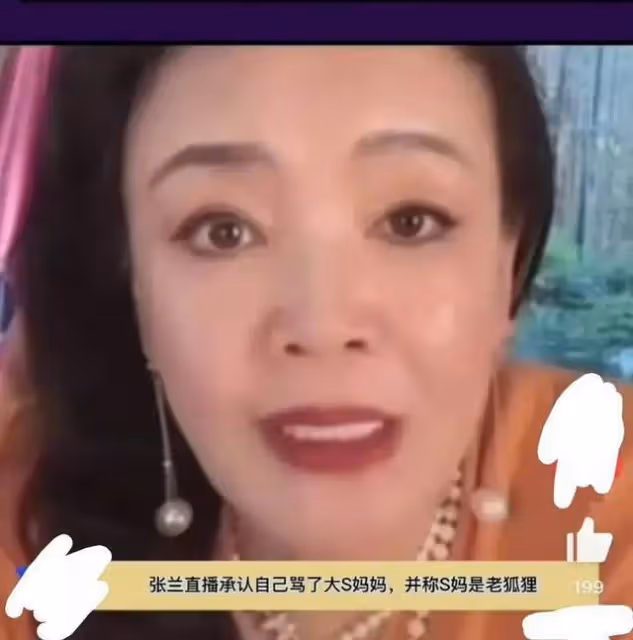張蘭把罵她最凶的那個網友給告了，誓要讓對方過年坐牢？