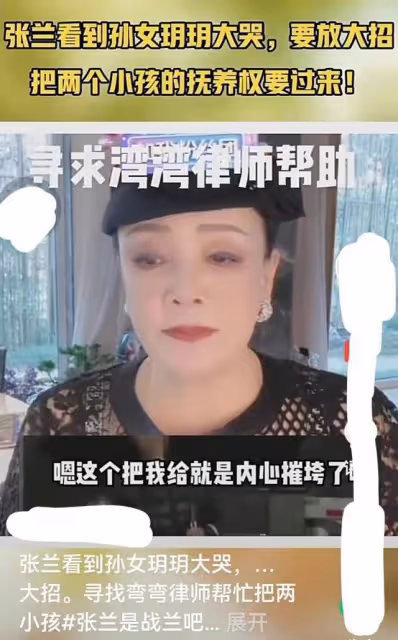 張蘭把罵她最凶的那個網友給告了，誓要讓對方過年坐牢？