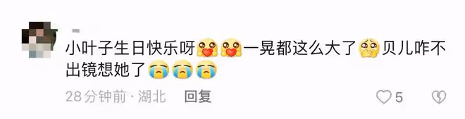 陸毅小女兒美得太驚艷！11歲生日瘦出瓜子臉，高顏值神似林允兒