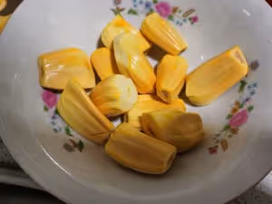 自製菠蘿蜜干（烤箱版）