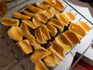 自製菠蘿蜜干（烤箱版）