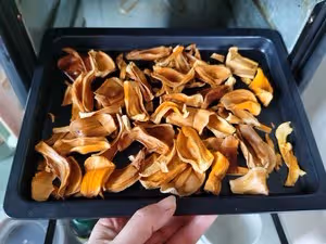 自製菠蘿蜜干（烤箱版）