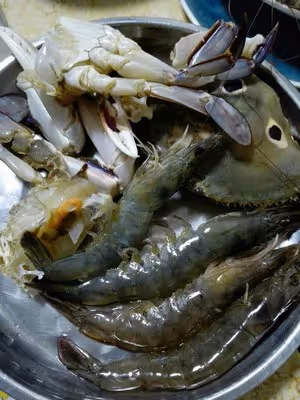 海鮮汆鍋底