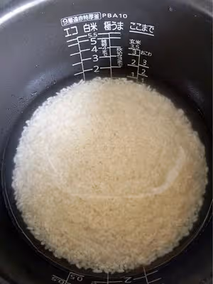 零失敗 絕對驚艷 廣式臘腸蔥油煲仔飯（極簡電飯煲版）