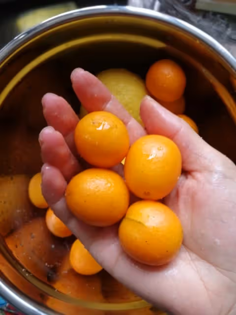 自製金桔檸檬茶（冬日必備）