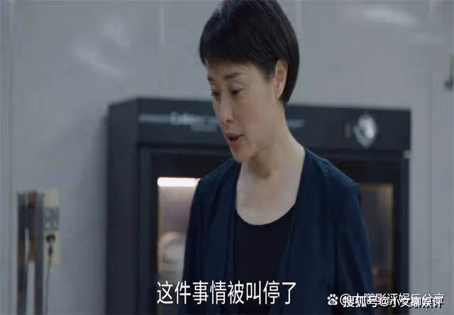 《縣委大院》艾縣長為王晚菊出頭,處理家暴男,結果卻不理想