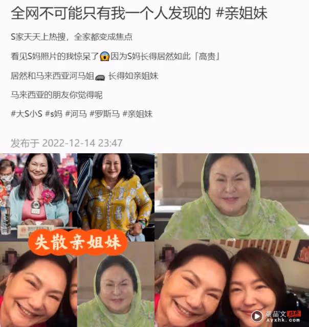 網友發現S媽和Rosmah撞臉!貼對比圖:失散親姐妹