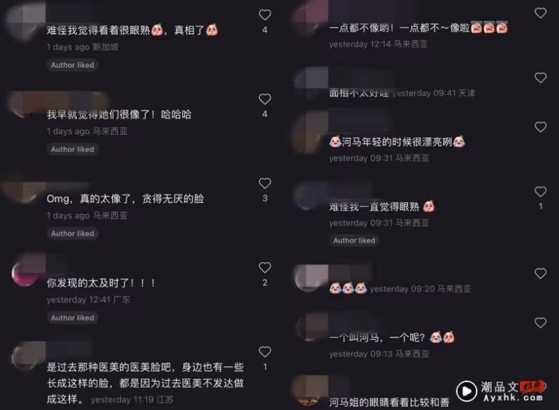 網友發現S媽和Rosmah撞臉!貼對比圖:失散親姐妹