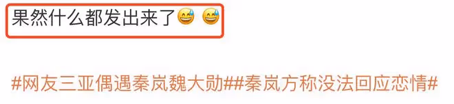 秦嵐方稱沒法回應與魏大勛戀情,建議媒體別打電話,被解讀為默認