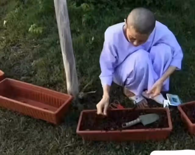 出家當尼姑的泰國王妃西拉米,誕下王室唯一男繼承人,卻毀於貪心