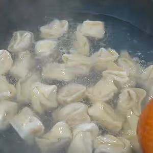 鮮肉餛飩 餛飩皮 餛飩湯底（附6種包法）