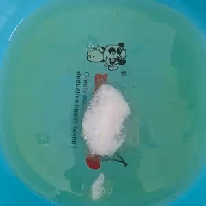 6寸戚風蛋糕（蛋糕胚）